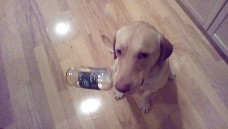 Illustration for article titled I Drank a Bottle of Tequila Tonight, AMA